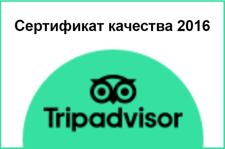 tripadvisor_2016